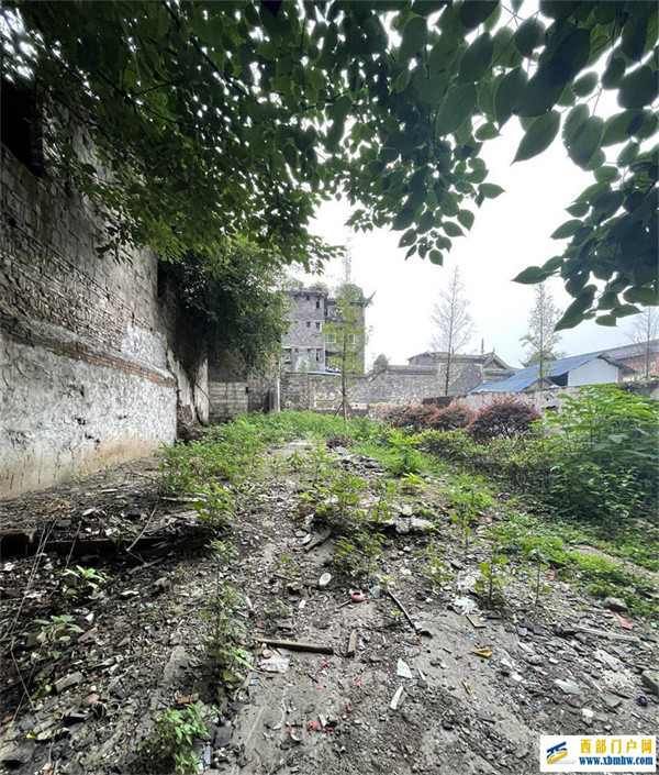 宜宾69岁老太求助：帮房产公司看守了23年公房，他们说我没有劳动关系