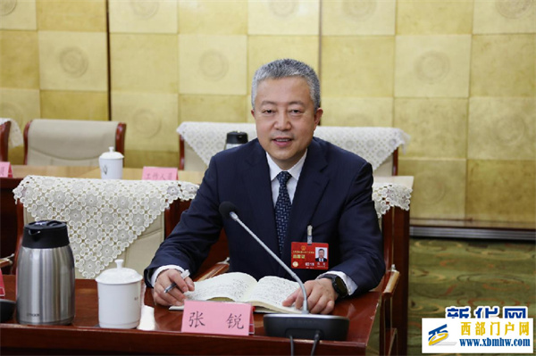 张锐代表：全力打造“两都” 重振包头雄风(图1)