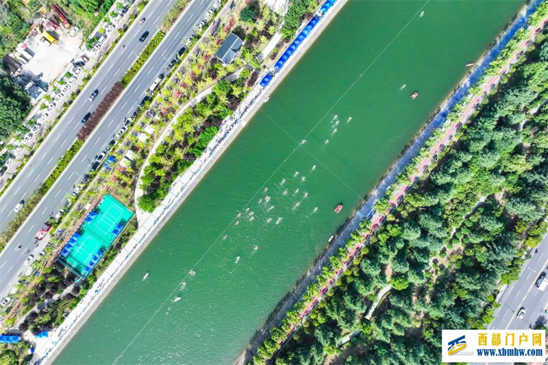 陕西：千余泳者劈波丹江(图1)