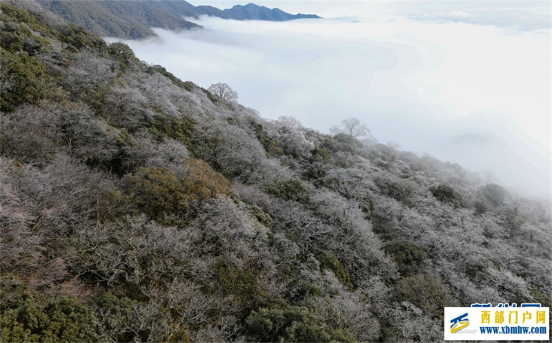 贵州梵净山：春日云海雾凇如画卷(图7)