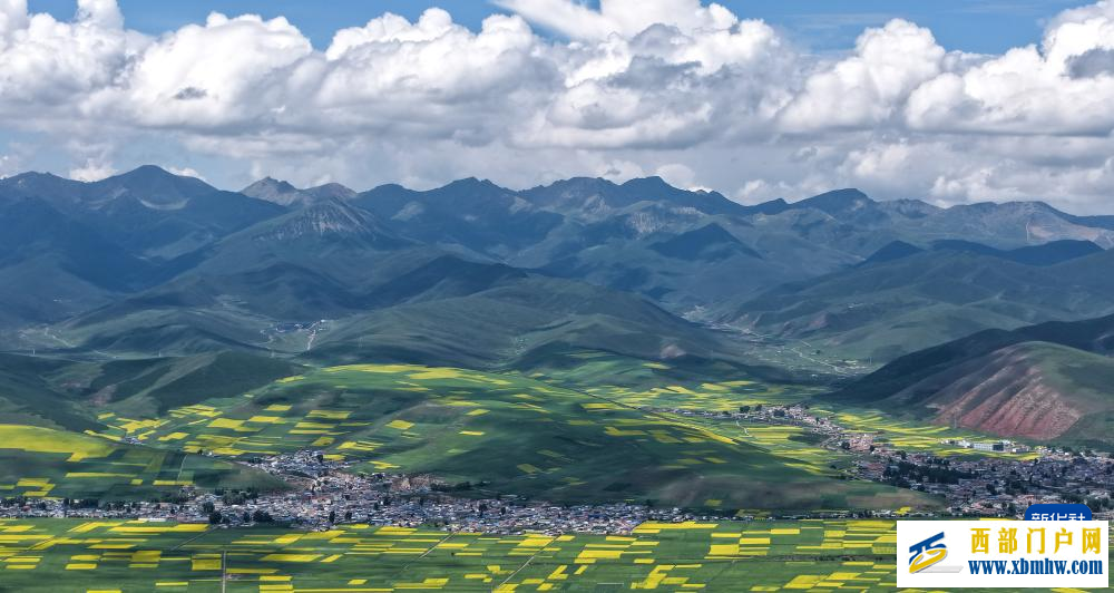 追花人家 甜在田间(图9)