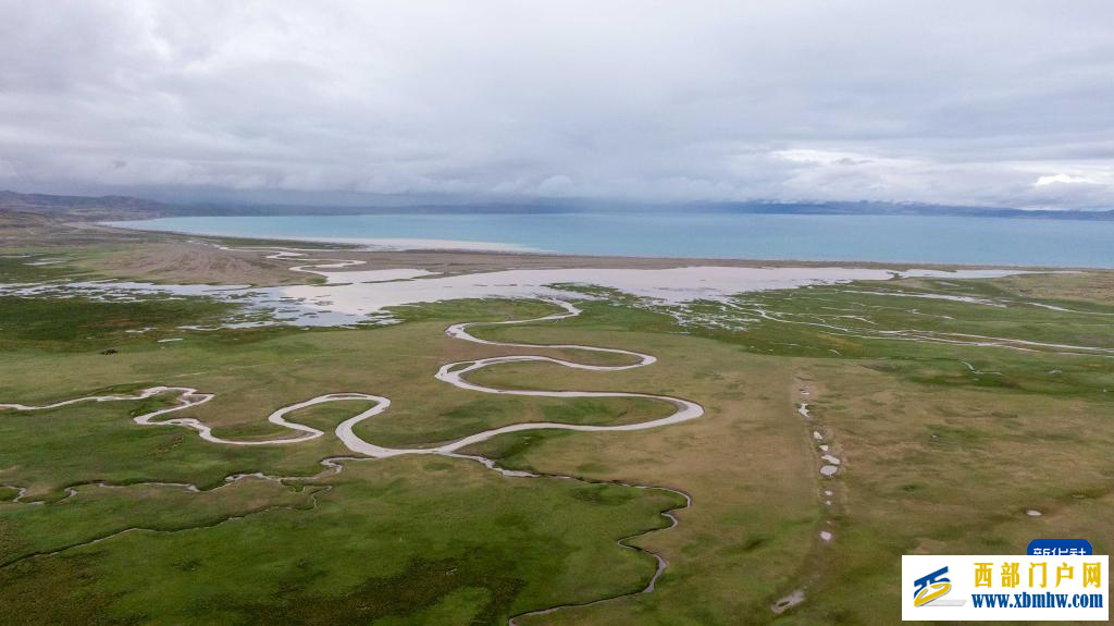 辉煌60载 魅力新西藏｜玛旁雍错湿地展现盛夏生命力(图3)