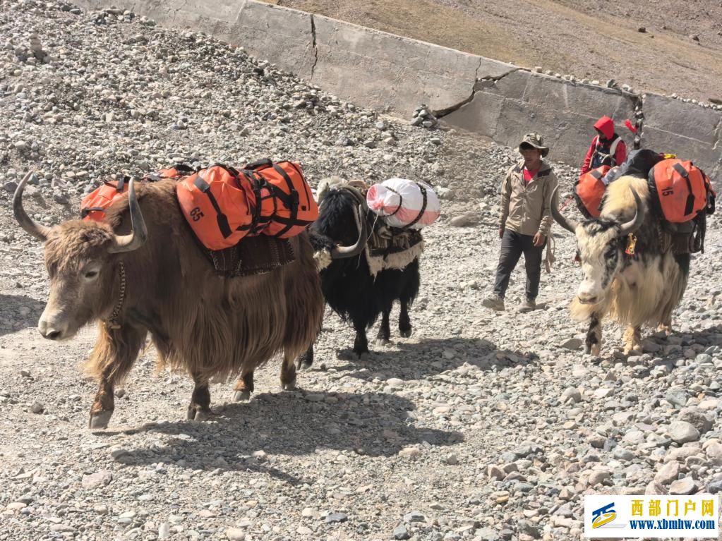 塔尔钦：在冈仁波齐脚下等你(图5)