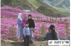 国庆假期游客们欣赏高原景致